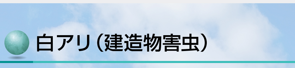 朝日サニター